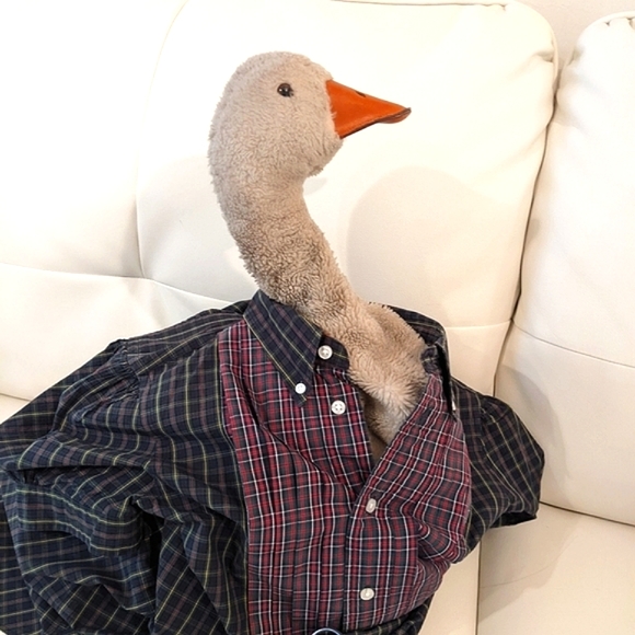 ⭐SOLD⭐Classic BABYDOLL Ralph Lauren schoolgirl shirt dress.❤️HP❤ - Picture 5 of 16